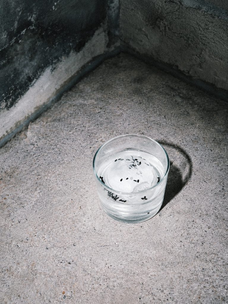 Impression aus der Gaunerei